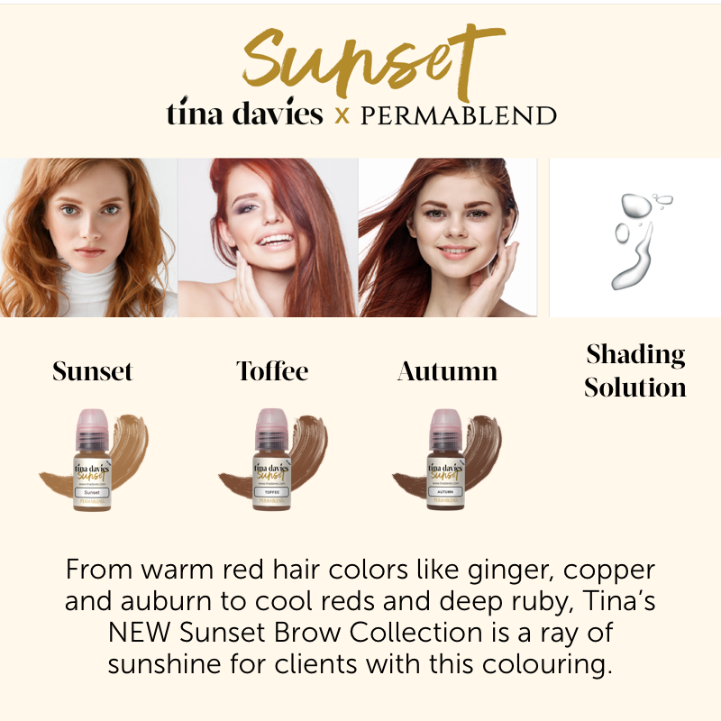 permablend tina davies ombre tattoo machine eyebrows eyeliner lip lining